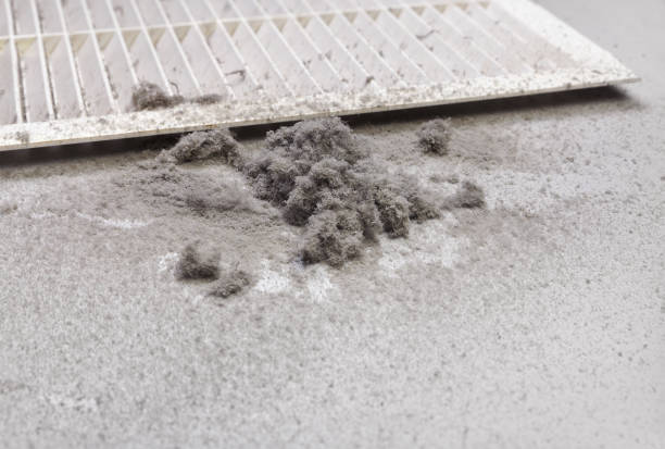 Best Local Air Duct Cleaning Services  in Coral Terrace, FL