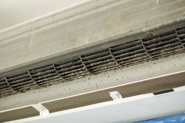 Best Air Duct Inspection  in Coral Terrace, FL